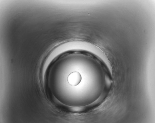 X0000089430244200706221216