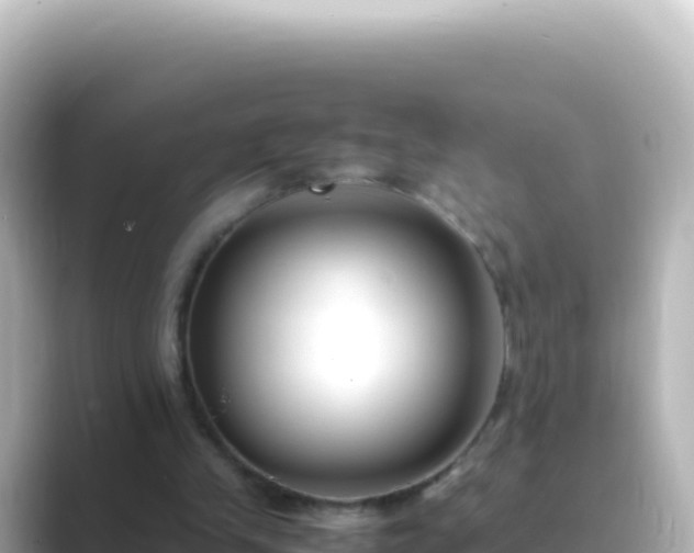 X0000089430245200706221216