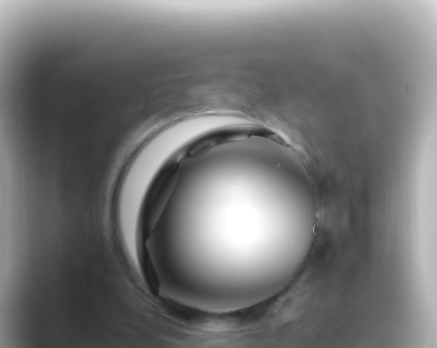 X0000089430248200706221216