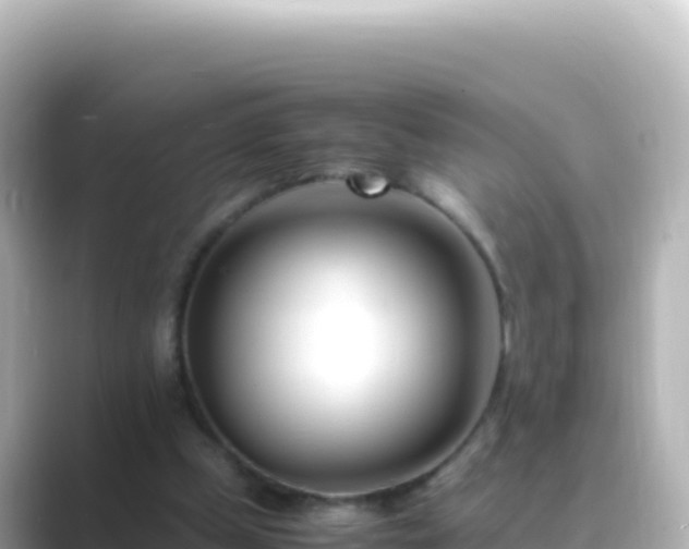 X0000089430249200706221216