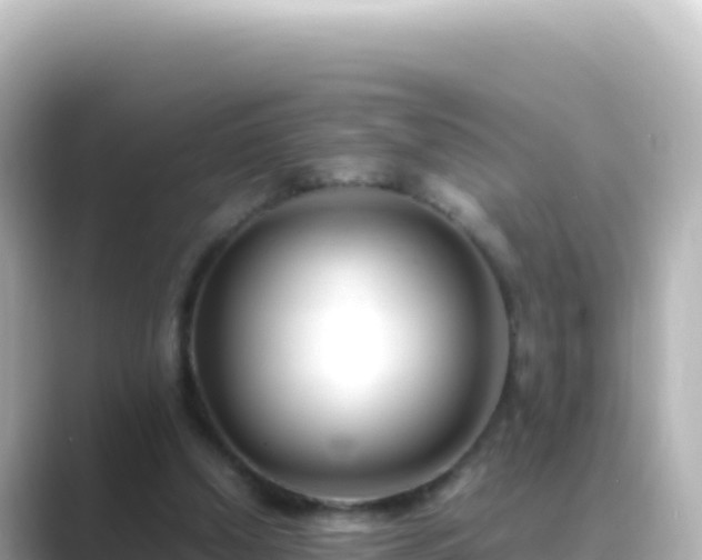 X0000089430250200706221216