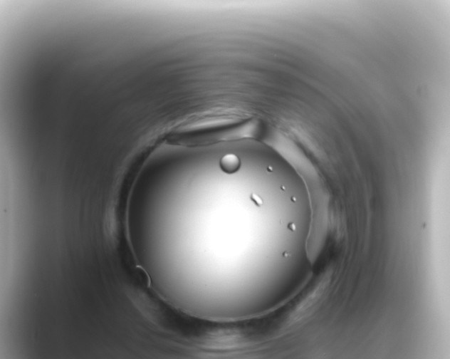 X0000089430252200706221216