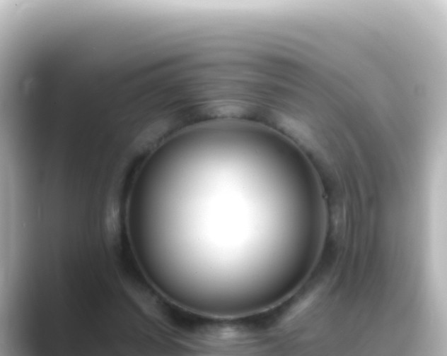 X0000089430254200706221216