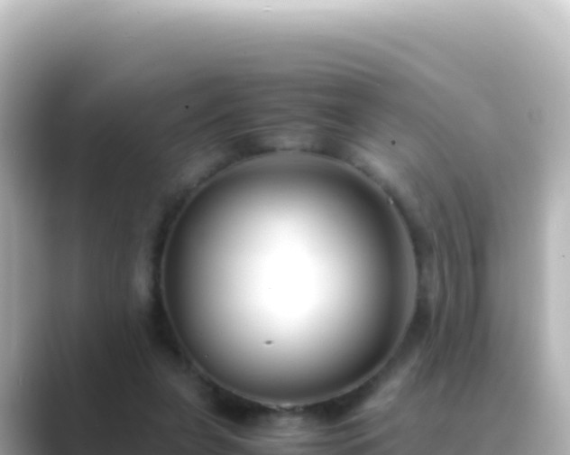 X0000089430255200706221216