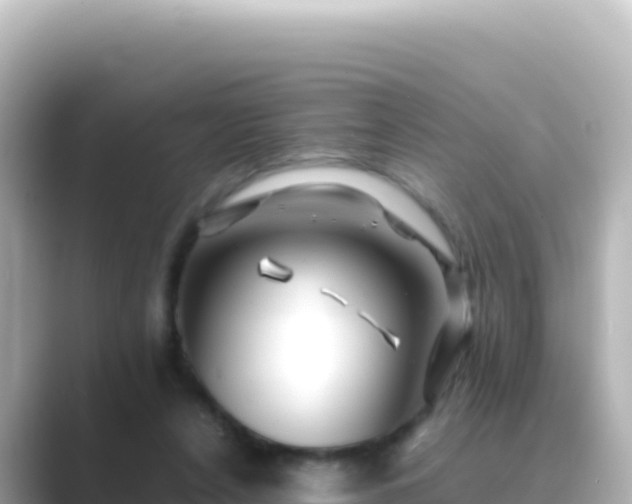 X0000089430256200706221216
