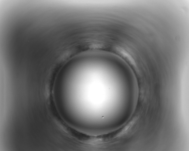 X0000089430257200706221216