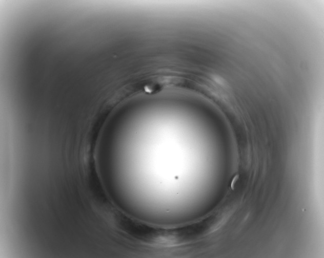 X0000089430263200706221216