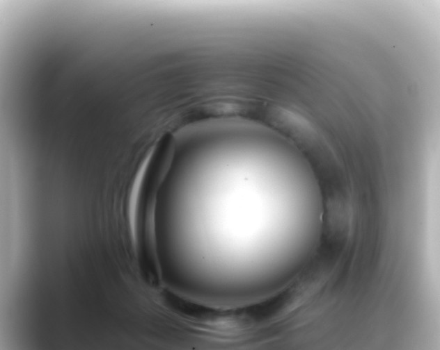 X0000089430267200706221216