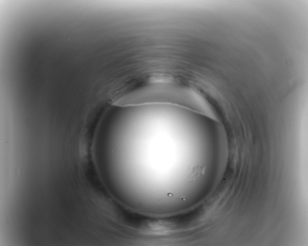X0000089430268200706221216