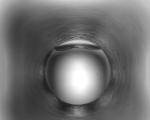 X0000089430275200706221216