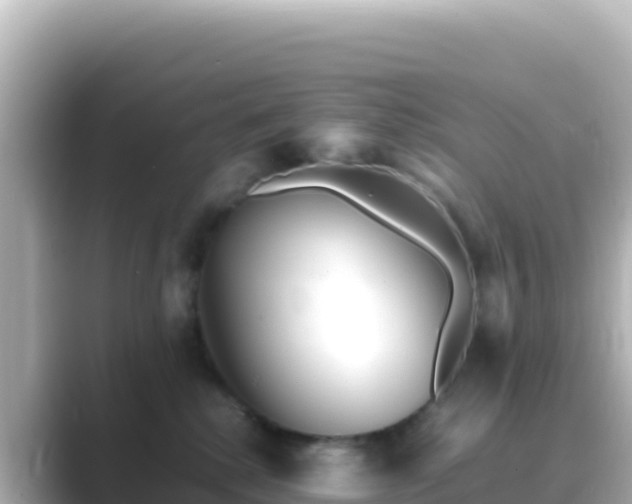 X0000089430280200706221216