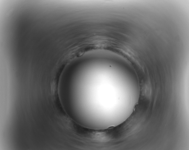 X0000089430283200706221217