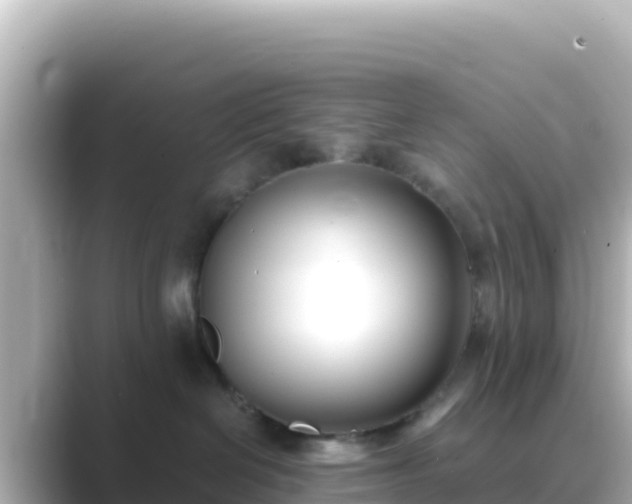 X0000089430286200706221217