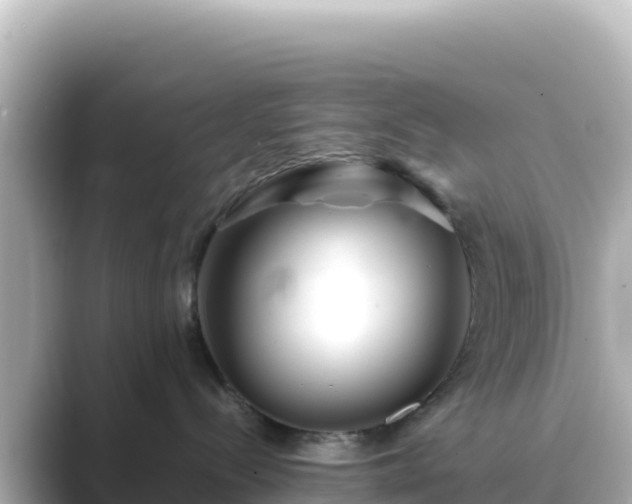 X0000089430288200706221217