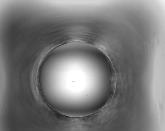 X0000089430289200706221216