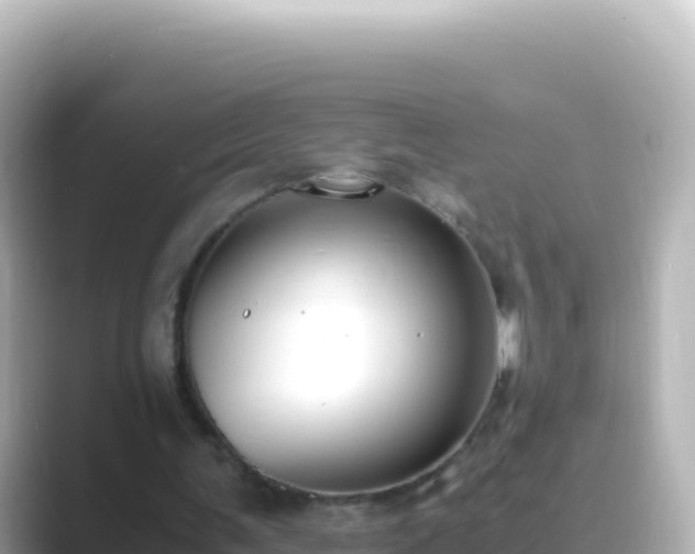 X0000089430291200706221216