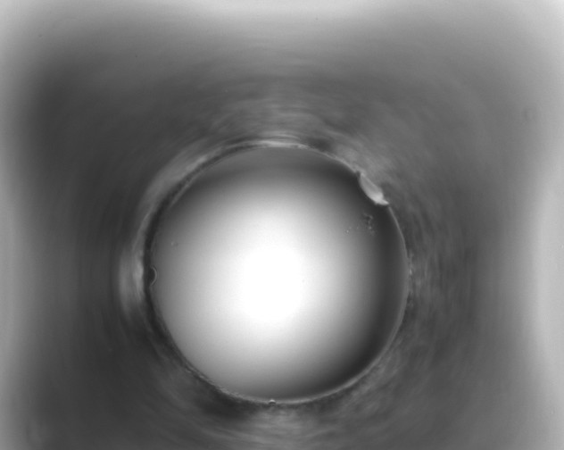 X0000089430294200706221216