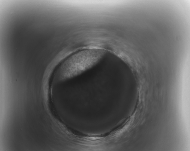 X0000089430295200706221216