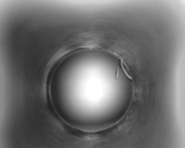 X0000089430296200706221216