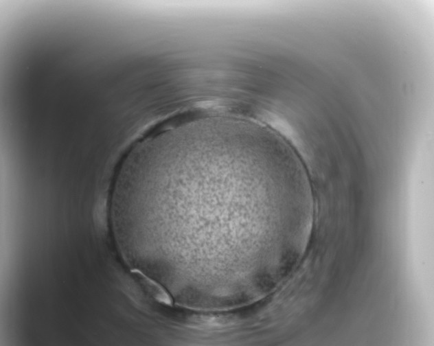 X0000089430297200706221216