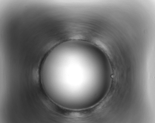 X0000089430298200706221216