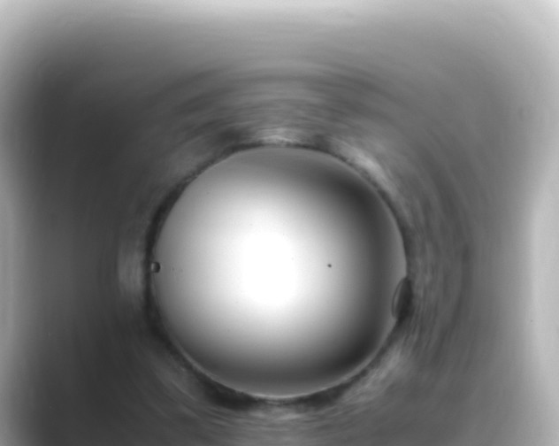 X0000089430299200706221216