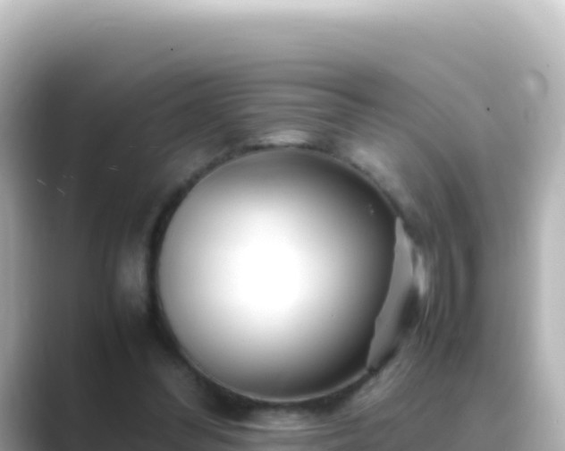 X0000089430300200706221216