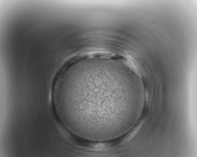X0000089430301200706221216