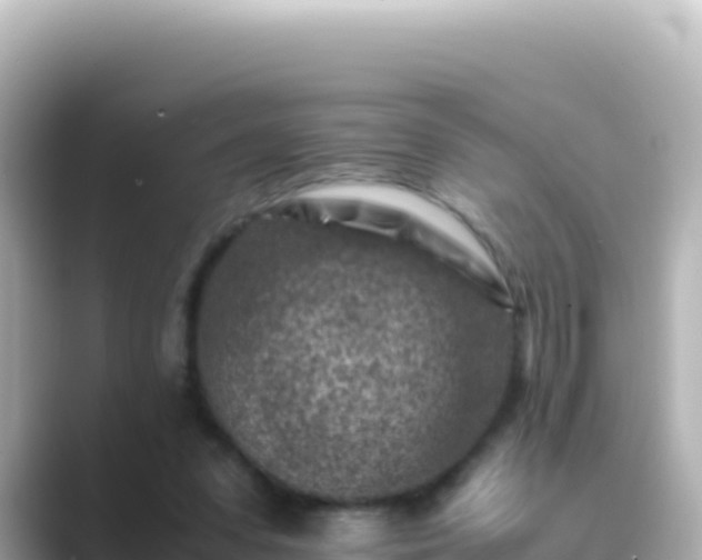 X0000089430303200706221216