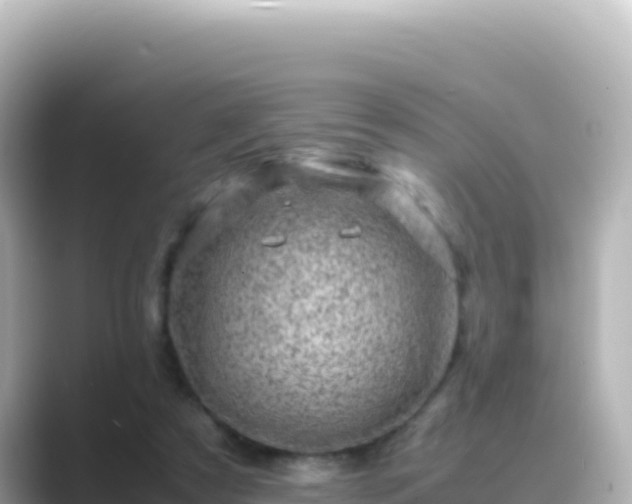 X0000089430305200706221216