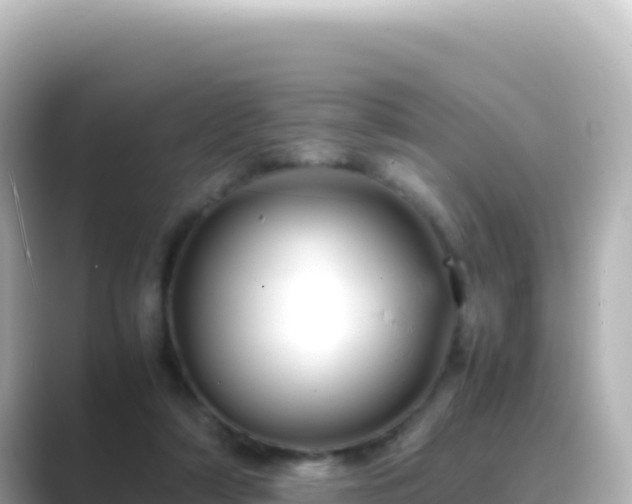 X0000089430306200706221216