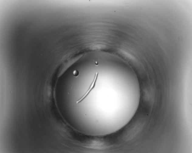 X0000089430308200706221216