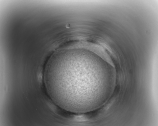 X0000089430309200706221216