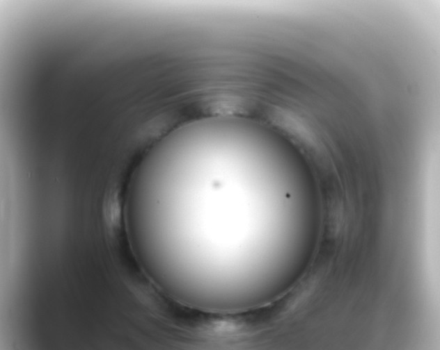 X0000089430310200706221216