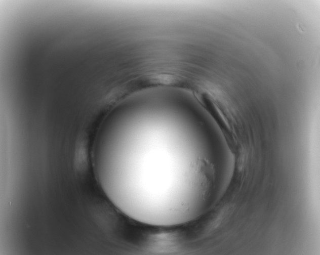 X0000089430312200706221216