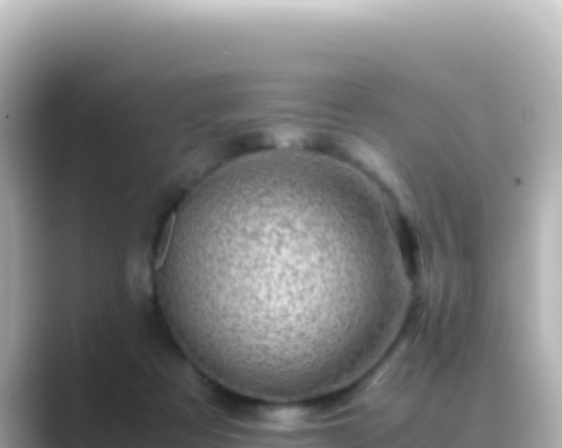 X0000089430313200706221216