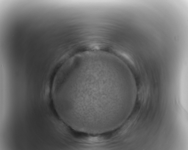 X0000089430314200706221216