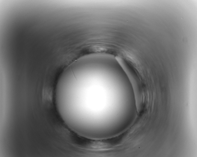 X0000089430315200706221216