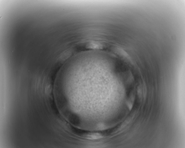 X0000089430322200706221216