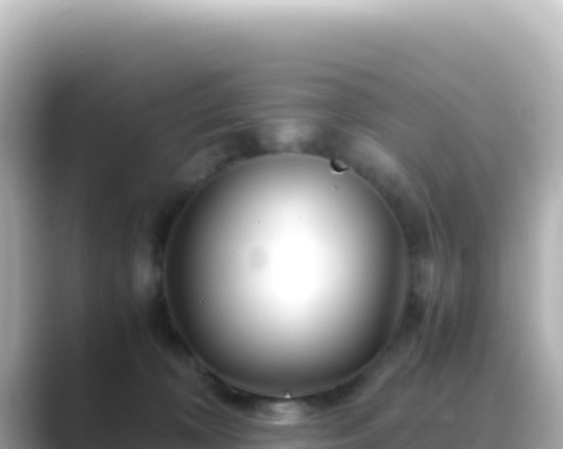 X0000089430324200706221216