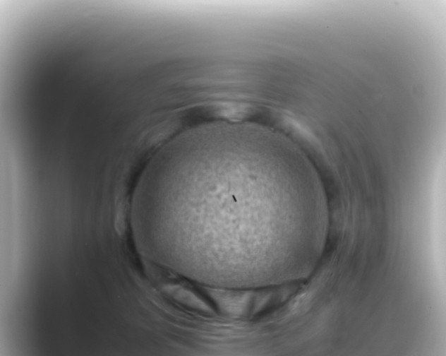 X0000089430325200706221216