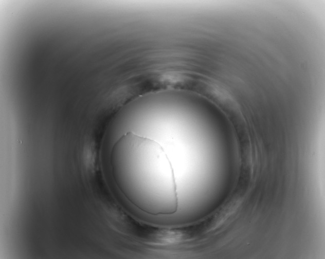 X0000089430328200706221216