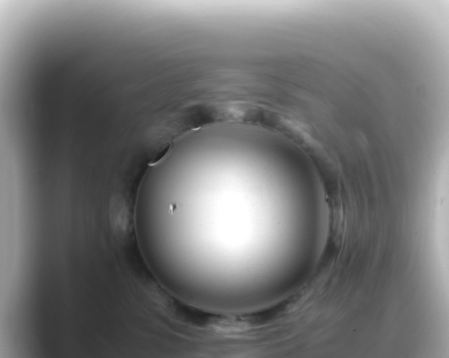 X0000089430331200706221216