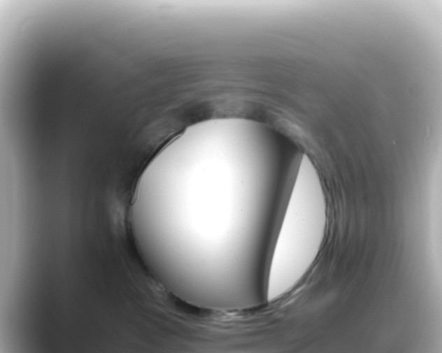 X0000089430333200706221215