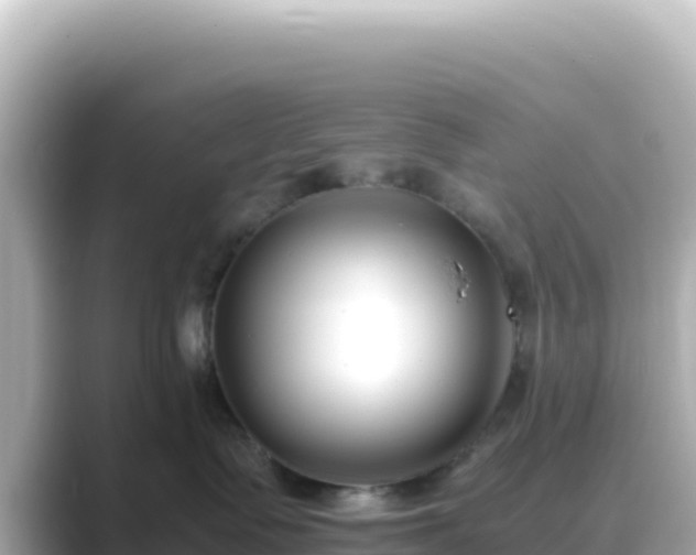 X0000089430335200706221215