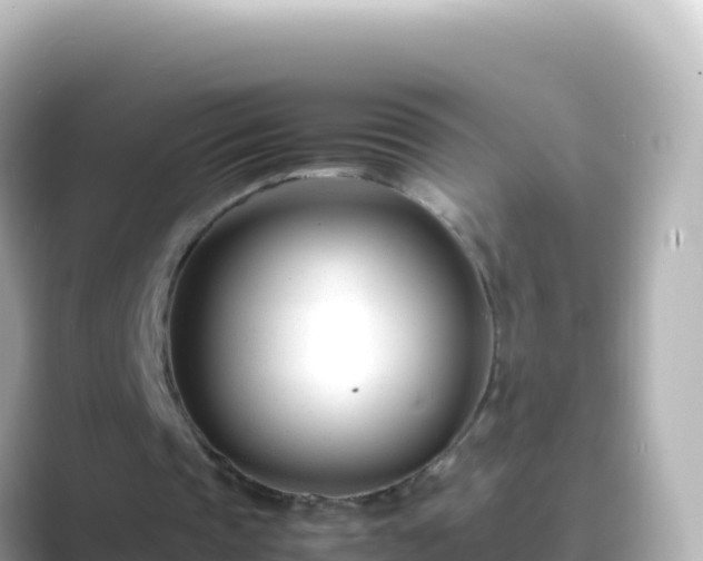 X0000089430337200706221215