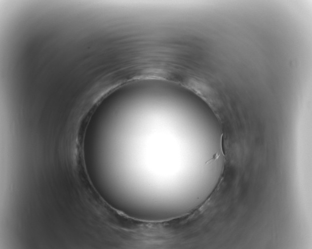 X0000089430338200706221215