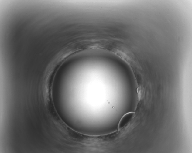 X0000089430339200706221215