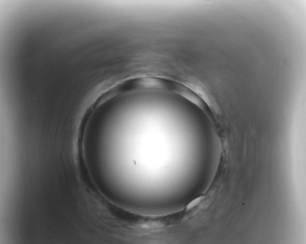 X0000089430340200706221215