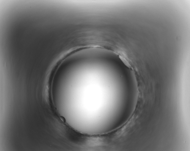 X0000089430342200706221215